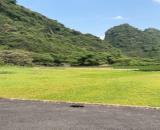 🚨 **4 TỶ SỞ HỮU NGAY 421,3M² FULL THỔ CƯ – MẶT TIỀN 8M – CÓ THỂ TÁCH 4 LÔ** 🚨