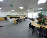 🔥CHO THUÊ VĂN PHÒNG GẦN 480m2 CÓ SẴN NỘI THẤT TẠI NGUYỄN NGỌC VŨ, GIÁ RẺ VỊ TRÍ ĐẸP