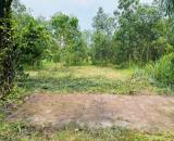 CHÍNH CHỦ BÁN ĐẤT 100M² FULL THỔ CƯ – GIÁ 1,6 TỶ – XÃ AN VIỄN, ĐỒNG NAI