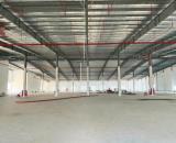 Cho thuê Nhà xưởng KCN Nình Bình giá 40k/m² DT từ 1.000m², PCCC tiêu chuẩn mới nhất