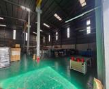 Cho thuê kho xưởng 3000m2 trong KCN Tam Phước, Biên Hòa, giá thuê 4.8$/m2/tháng.