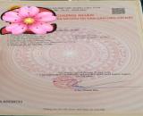 Bán đất Kiến Quốc - Kiến Thụy - Hải Phòng