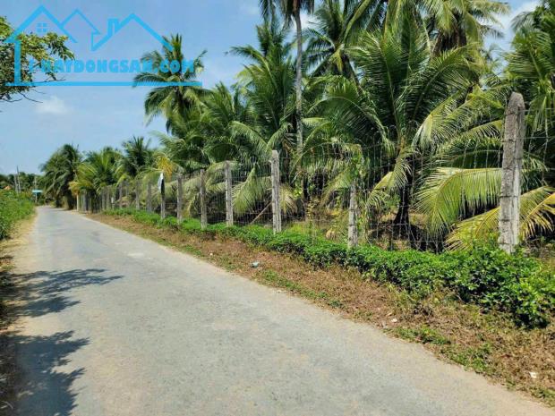 Bán đất mặt tiền Long Phụng, Long Định, Bình Đại: 15 x 50, giá 1,95 tỷ.