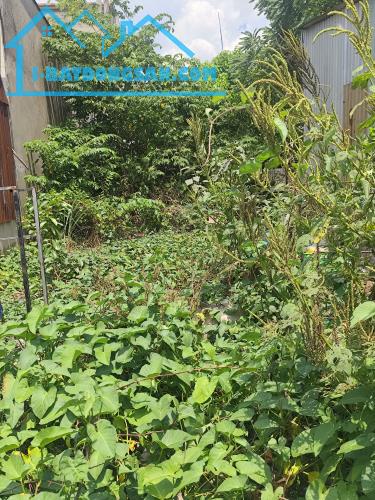 BÁN GẤP NỀN KHU DÂN CƯ THỊ TRẤN THẠNH HOÁ-LONG AN