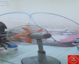 Có những căn nhà chỉ cần nhìn vị trí. Hẻm xe hơi Đặng Văn Bi, với gần 124m², mà chỉ có 12